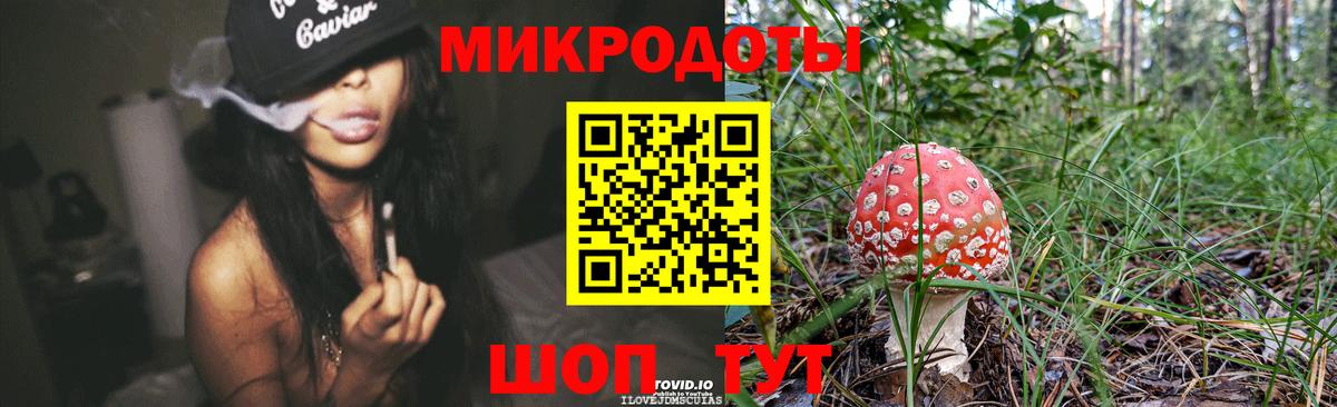 Псилоцибиновые грибы Psilocybine cubensis  Вход с VPN  Саратов 
